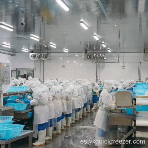 Línea de producción industrial de camarones y pescados.